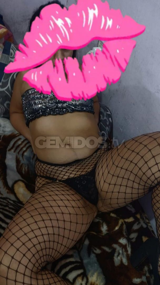 Paloma ZN